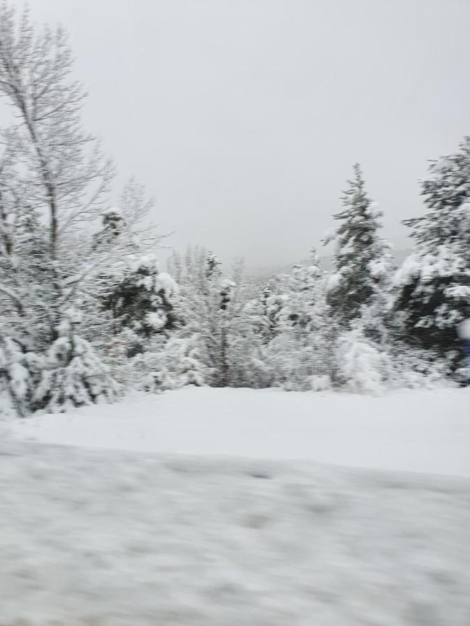 Coeur D'altair 1850 T2 Confortable Skis Aux Pieds Apartment Risoul